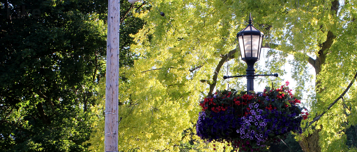 Flower basket decoration